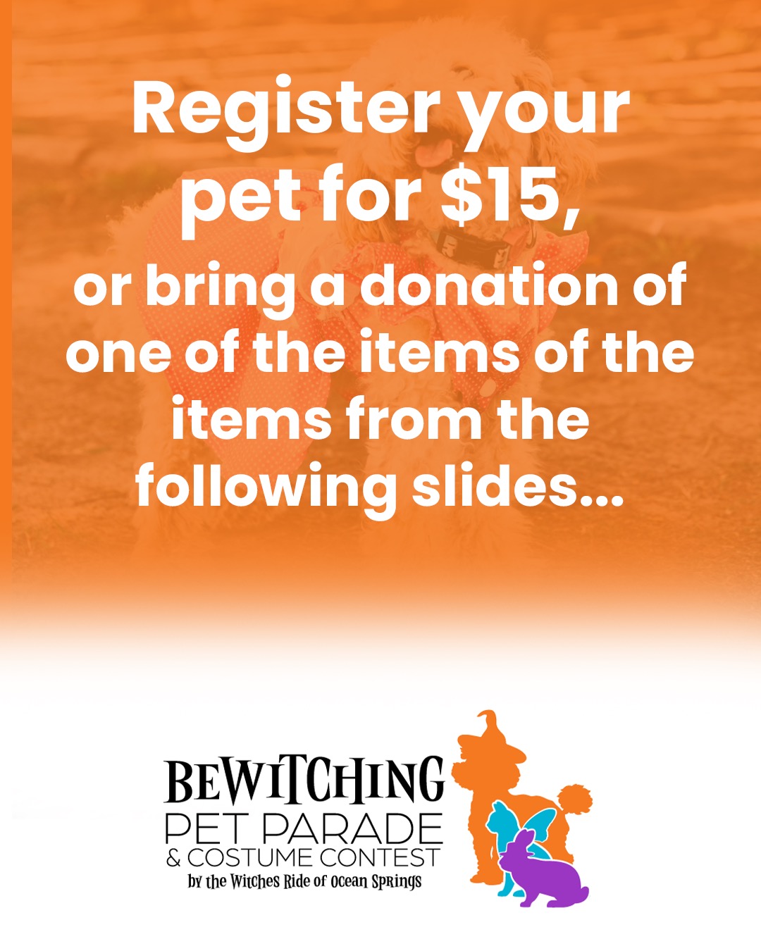 Pet Parade 2025 - Image 2