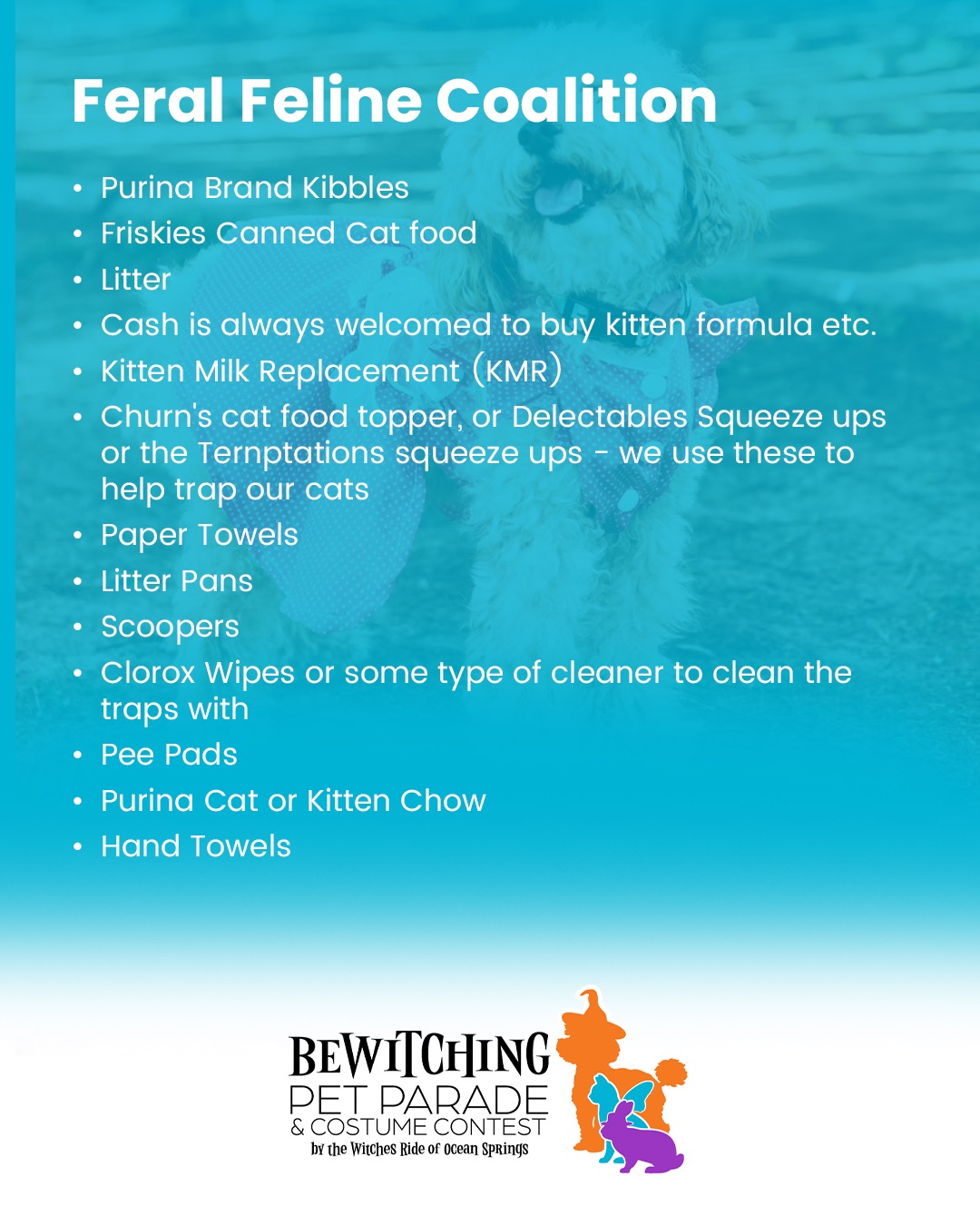 Pet Parade 2025 - Image 4