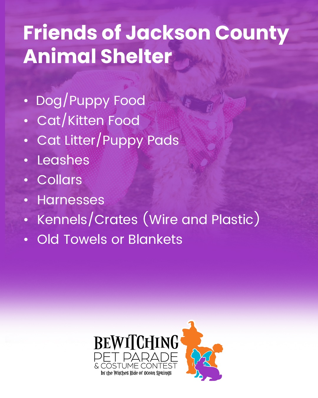 Pet Parade 2025 - Image 5