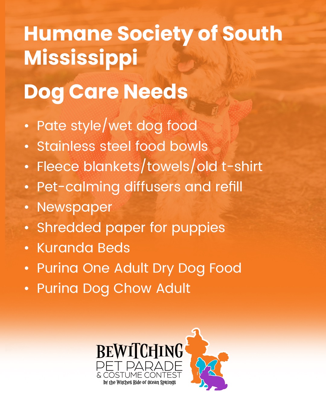 Pet Parade 2025 - Image 7