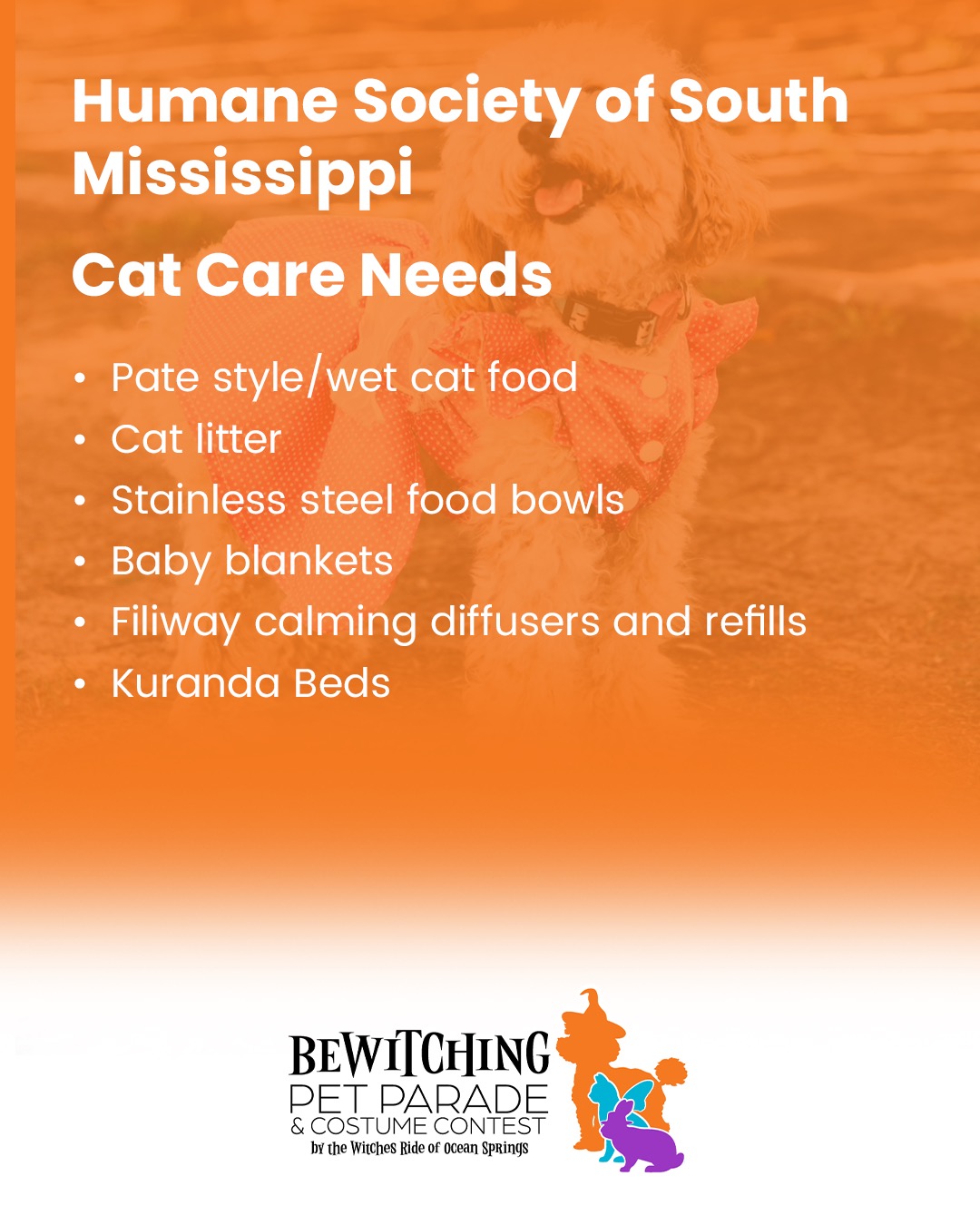 Pet Parade 2025 - Image 8