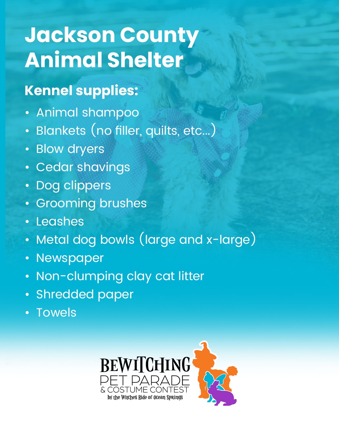 Pet Parade 2025 - Image 6