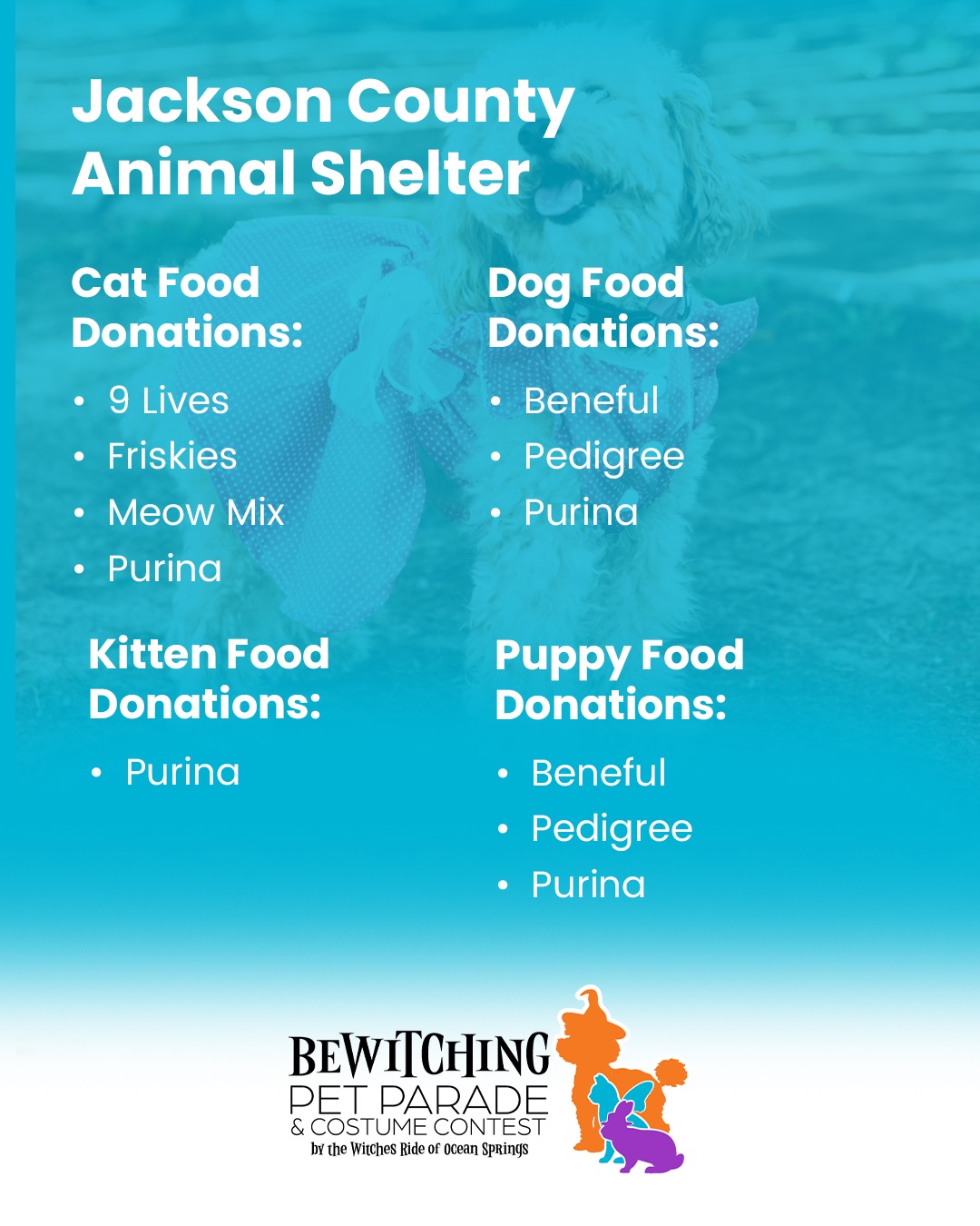 Pet Parade 2025 - Image 9